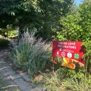 Washington State University to receive state grant for bee program