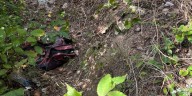 Skeletal remains found in plastic bag behind Nashville strip mall, police say