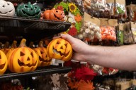 Hysterics at Dog’s Reaction To Spotting Halloween Decorations