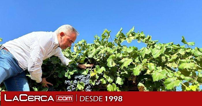 El Gobierno regional paga casi 50 millones de euros del primer anticipo de la PAC 2025 a cerca de 28.000 agricultores y ganadores conquenses