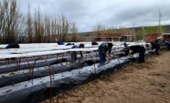 Río Mayo se suma al proyecto "En Redes, Frutillas al viento"