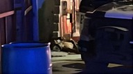 Disparan a hombre cuando compraba drogas en Hacienda del Sol