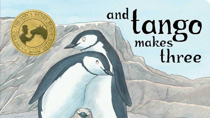 First Amendment experts weigh in on rights in school libraries