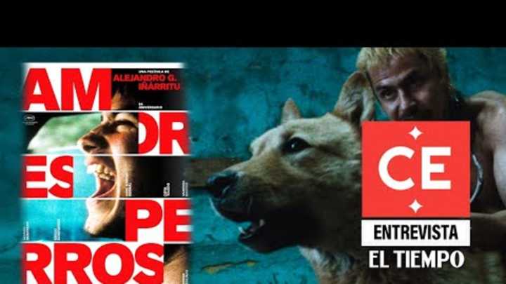 25 años de 'Amores perros', un hito del cine latinoamericano