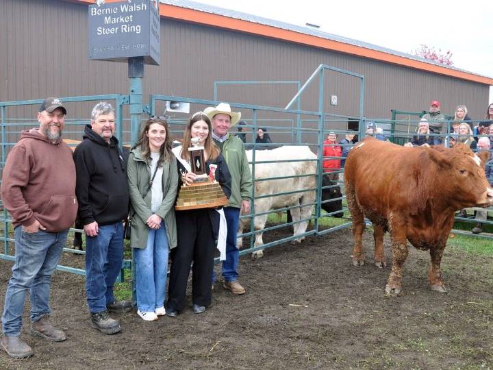 Norwood News: The Norwood Fair's famous steer show and sale