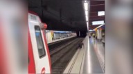 Un hombre, a punto de ser arrollado tras tirarse a las vías del metro de Barcelona