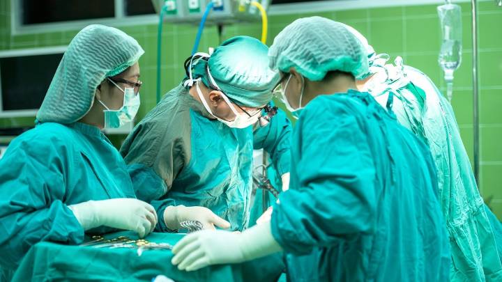 Realizan el primer trasplante de hígado de un cerdo a un humano vivo