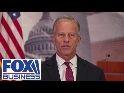 'I'M AT A LOSS': Senate Majority Leader John Thune accuses Dems of wanting to 'hijack' government