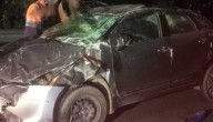 Three Killed, Two Critically Injured In Road Accident In Bargarh