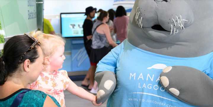 Manatee Lagoon Welcomes Back Gentle Giants