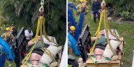 Con grúa rescatan a hombre que pesaba más de 200 kilos