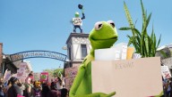 Protesters Force Out Kermit The Frog For Alleged Connection To Pepe