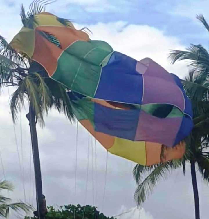 Parasailing parachute gets stuck to tree during demo