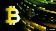 Bitcoin Treasury Companies Should Lean Into the Lightning Network
