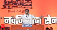 '9.6 million fake voters added': Raj Thackeray urges EC to halt Maharashtra local body polls; opposition leaders plan march