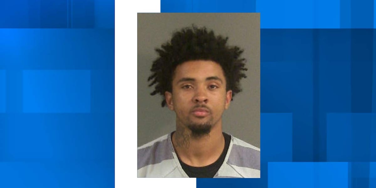 North Charleston Police arrest man with stolen handgun during traffic stop