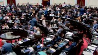 Diputados: la oposición busca convertir en ley el nuevo régimen de los DNU