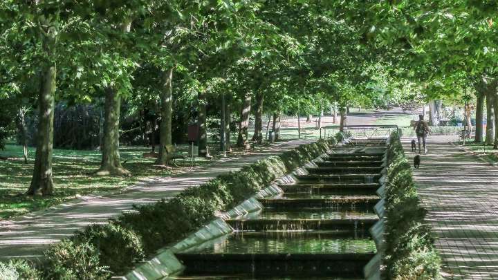 Los beneficios de plantar árboles en Cáceres: reducen la temperatura entre 2 y 8 grados