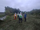 Colapsa torre de CFE en Chiapas y deja sin luz a 157 mil casas