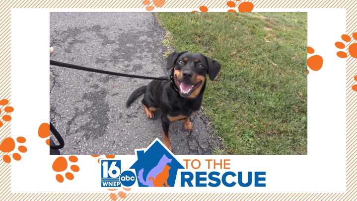 16 To The Rescue: Chiquita