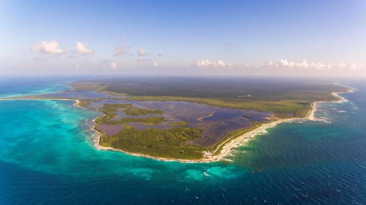 Global Tipping Points: arrecifes de coral se extinguirán si no se revierte el calentamiento global