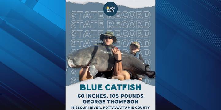 Iowa angler reels in record-setting blue catfish