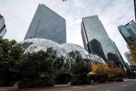 Amazon informó a empleados de su despido en mensaje de texto