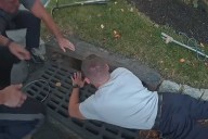 Dog Rescued from Storm Drain After Slipping out of Collar During Walk