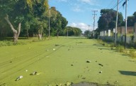 Lado oculto de la bajada del Orinoco: agua contaminada, riesgo de enfermedades y daños en viviendas