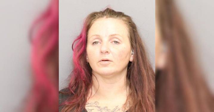 Maryland woman facing charges in multiple counties after break