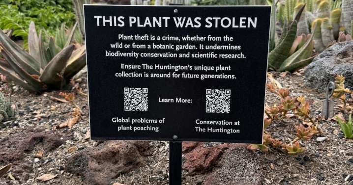 The Huntington joins global coalition to fight plant black market. Here's how you can help