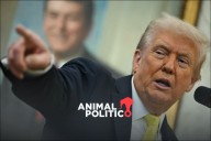 Trump evalúa ataques terrestres a cárteles en Venezuela; evita confirmar operaciones encubiertas