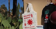 Comunidad cachanilla se une en la Expo Inclusión para neuro divergentes