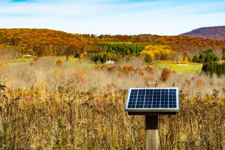 Land, capital, labor: Challenges for new farmers in New York