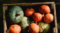Octubre en el huerto: las frutas y verduras que marcan la temporada