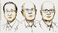 Un británico, un japonés y un jordano-estadounidense recibieron el Premio Nobel de Química