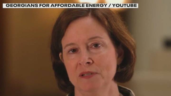 Georgia Power critic arrested for allegedly stealing trade secrets