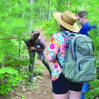 Foraging walk offers fresh perspectives on coastal Michigan ecology