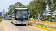 Conoce el horario de los servicios de transporte público durante el feriado del 8 de octubre