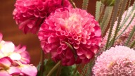 Behind-the-scenes, as floral department prepares for general conference