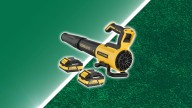 Prime members cannot stop buying this cordless leaf blower