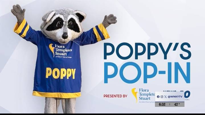 Poppy’s Pop ‘in: The Hive