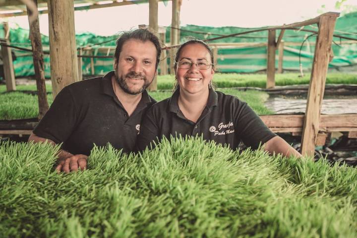 Granja La Pachamama: un oasis sostenible en medio de una zona duramente afectada por la sequía en Chile