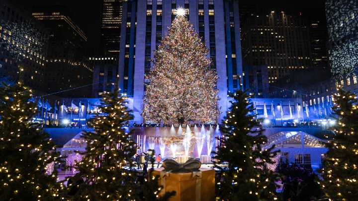 A majestic Norway spruce from upstate New York chosen as Rockefeller Center Christmas Tree