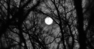 Get in the spooky mood with some haunted events this Coastal Bend Weekend!