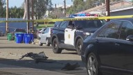ICE pursuit ends in crash, injuries in Bay Park neighborhood