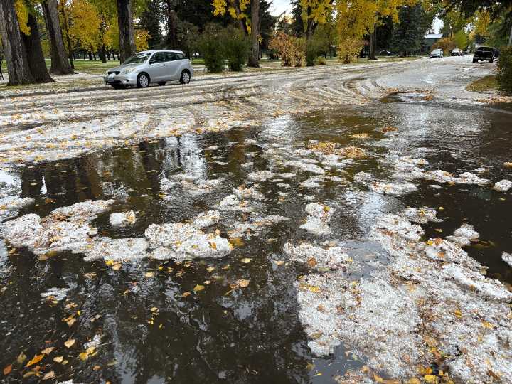 University of Wyoming’s lawsuit against Laramie puts local control across the state at risk