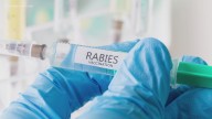 VDH warns of rabies risk after cat tests positive in Norfolk