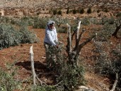 In the occupied West Bank, the war continues