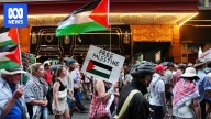 Thousands join pro-Palestinian rallies in towns and cities across Australia amid ceasefire